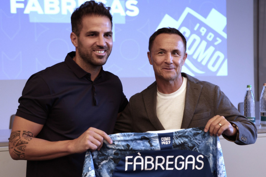 Sesk Fabregas i Denis Vajz