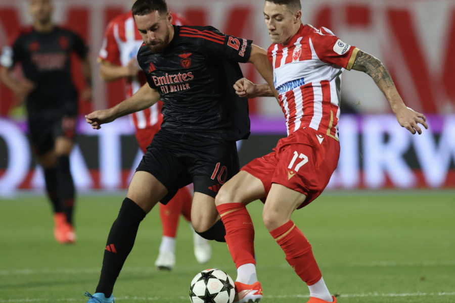 FK Crvena zvezda