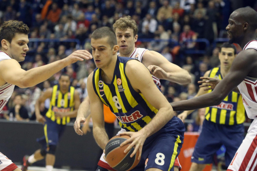 Nemanja Bjelica