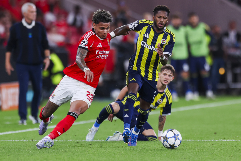 Detalj s meča Benfika - Fenerbahče