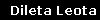 Dileta Leota