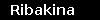 Ribakina