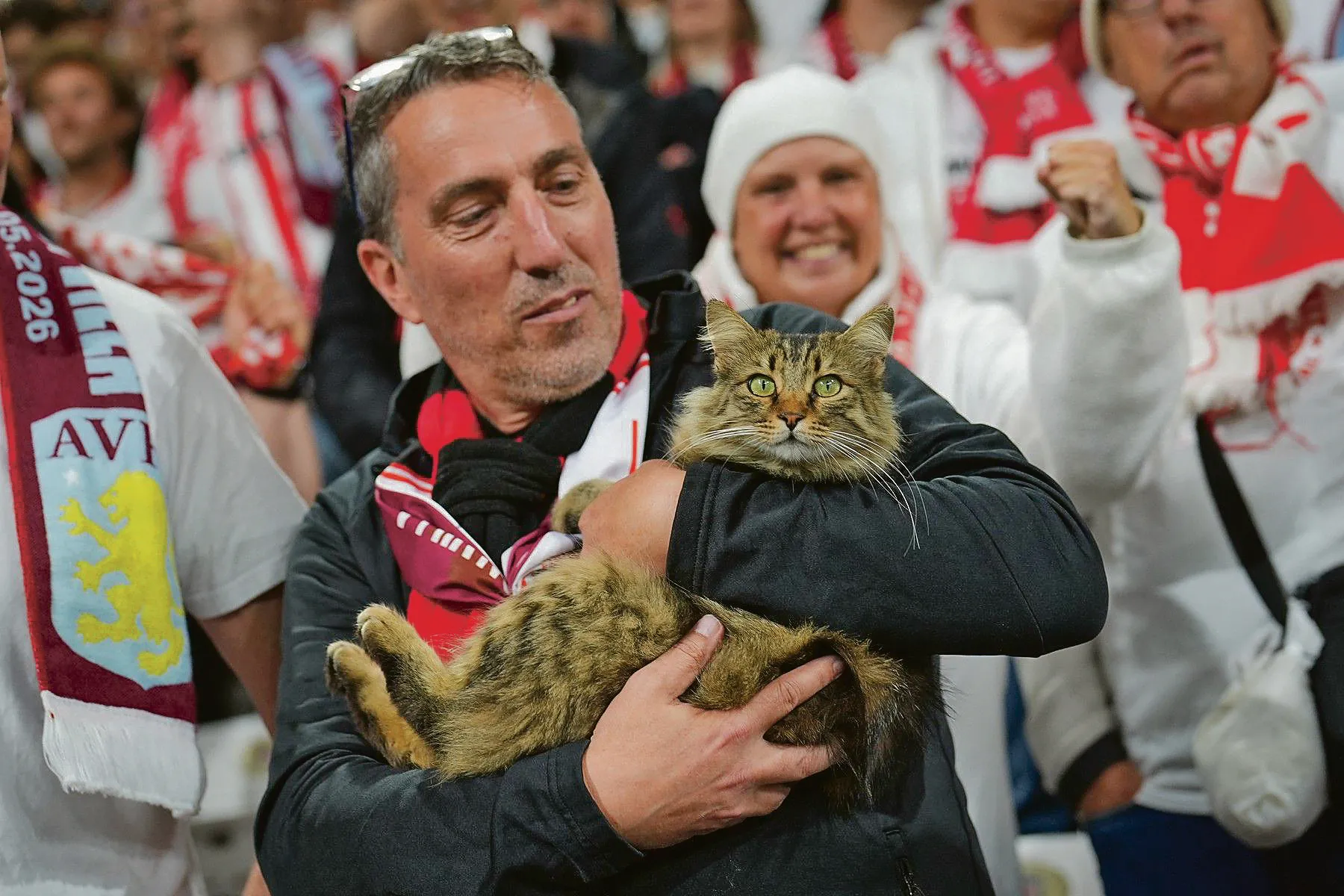 Mačka na stadionu Bešiktaša Mačka na stadionu Bešiktaša