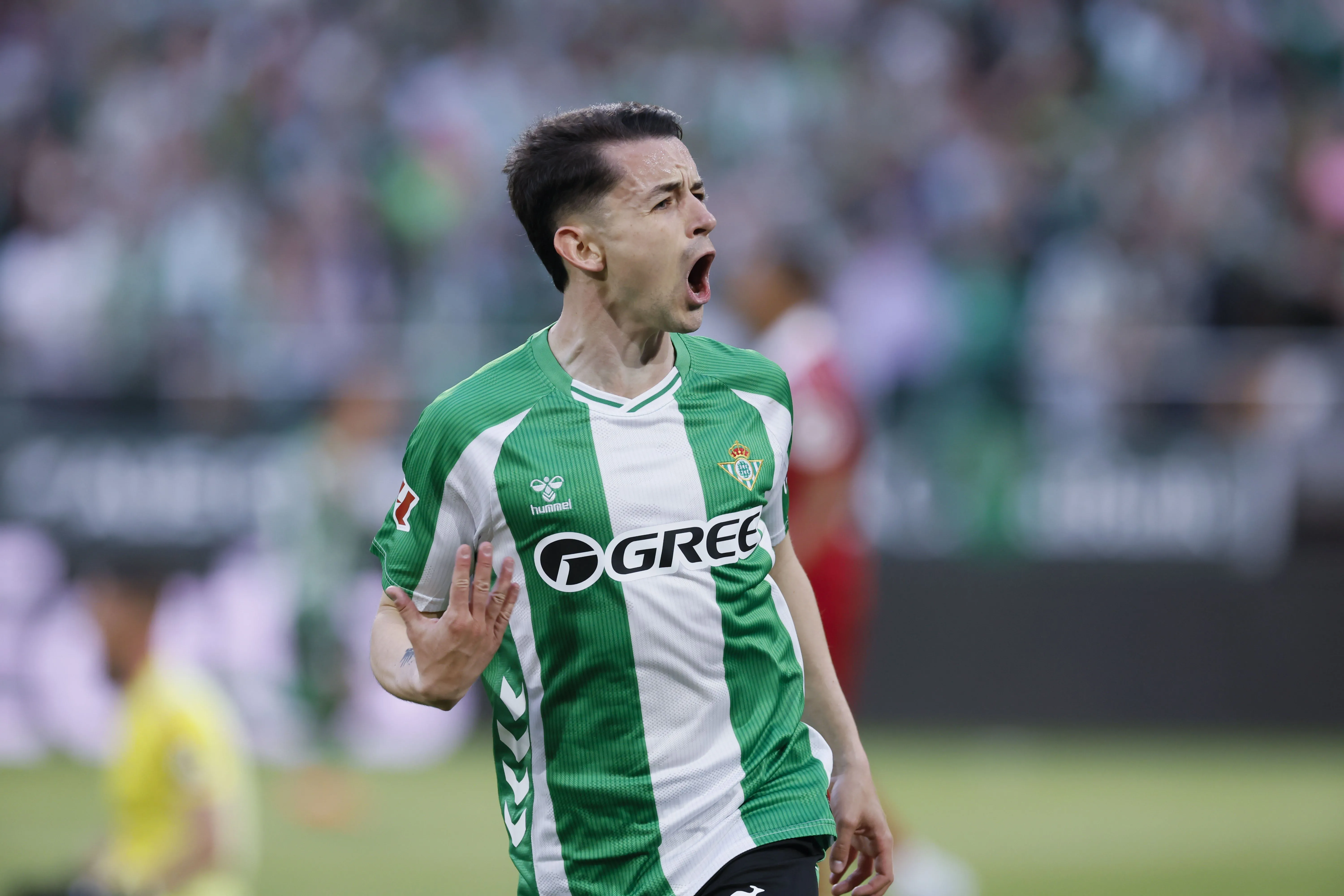 Alvaro Fidalgo Alvaro Fidalgo