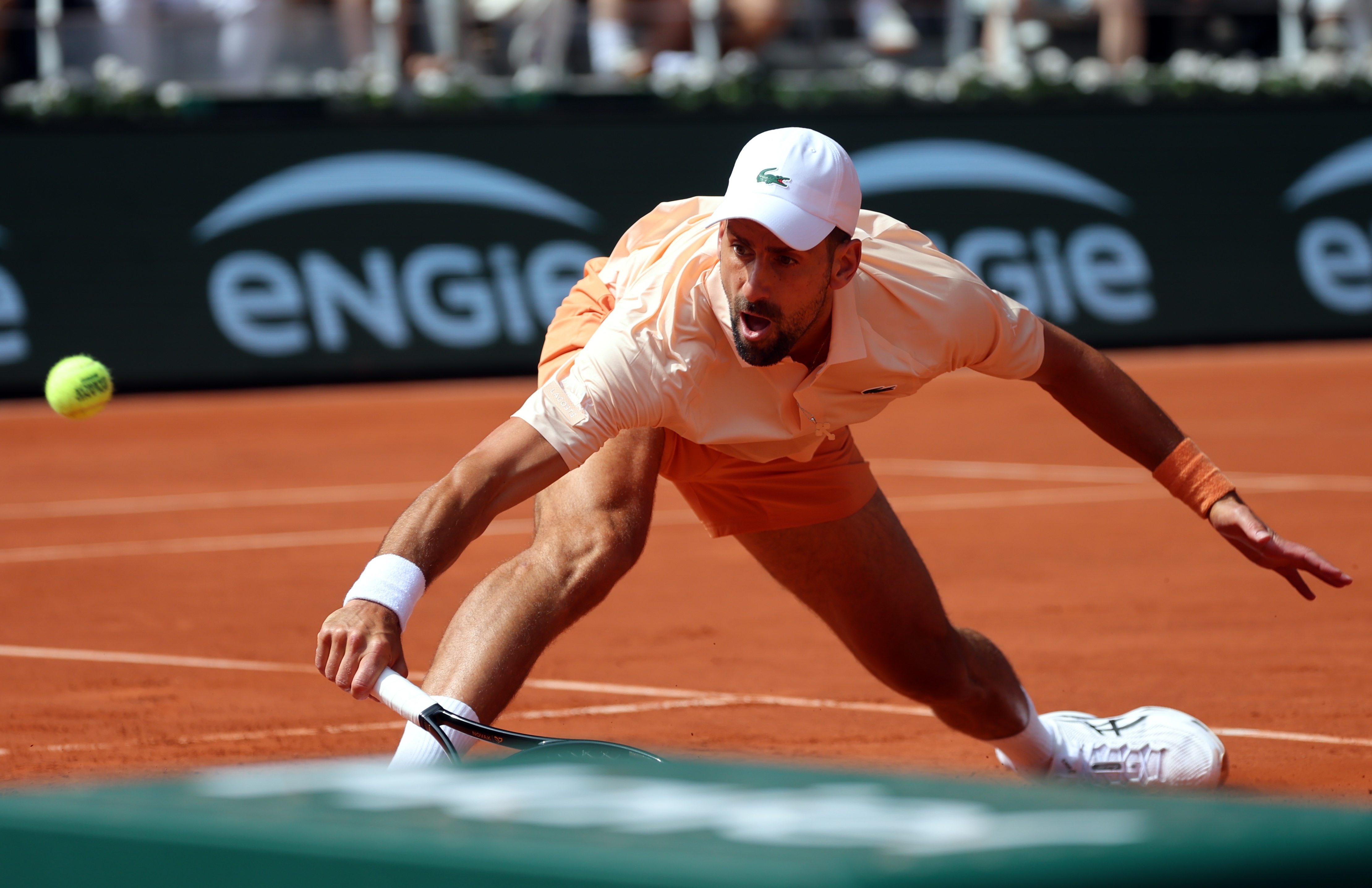 Novak Đoković Novak Đoković
