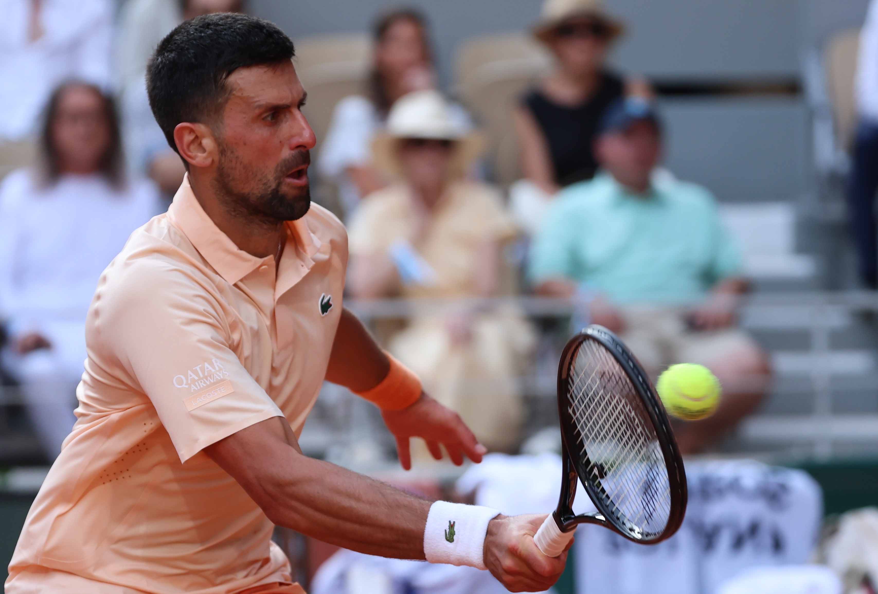 Novak Đoković Novak Đoković