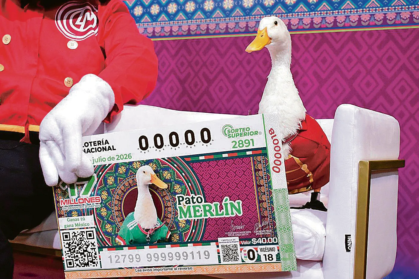 Meksička patka Merlin Meksička patka Merlin