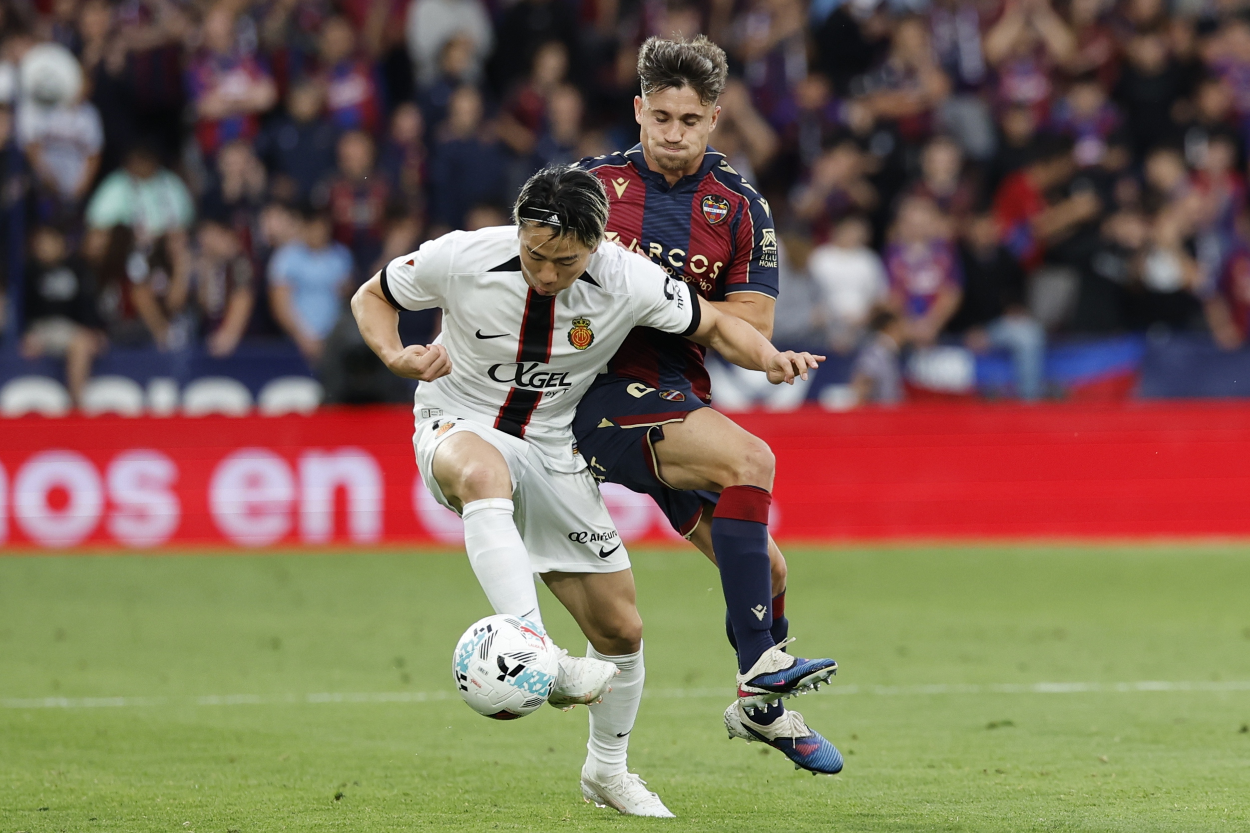 Takuma Asano Takuma Asano