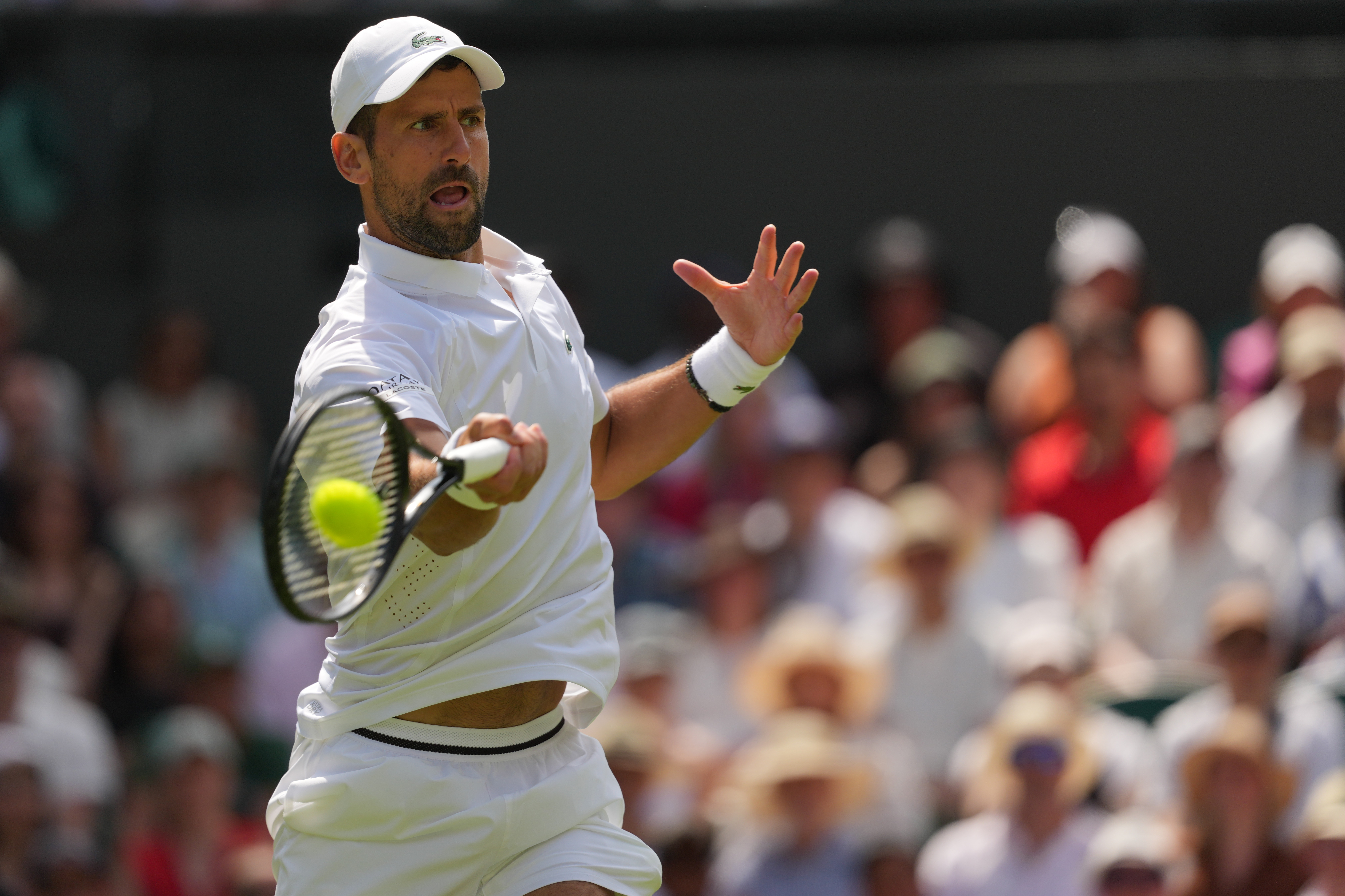 Novak