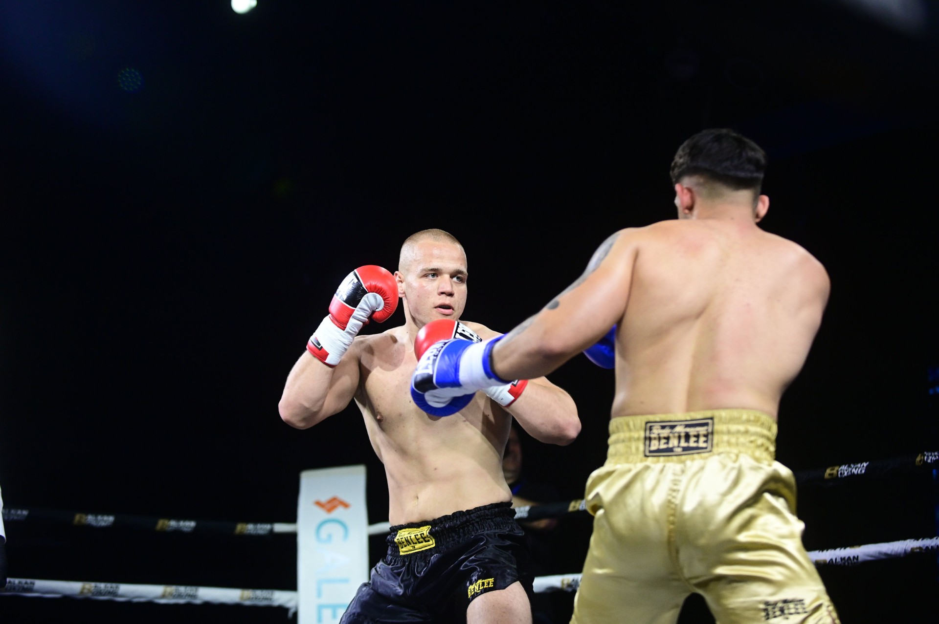 Balkan Boxing