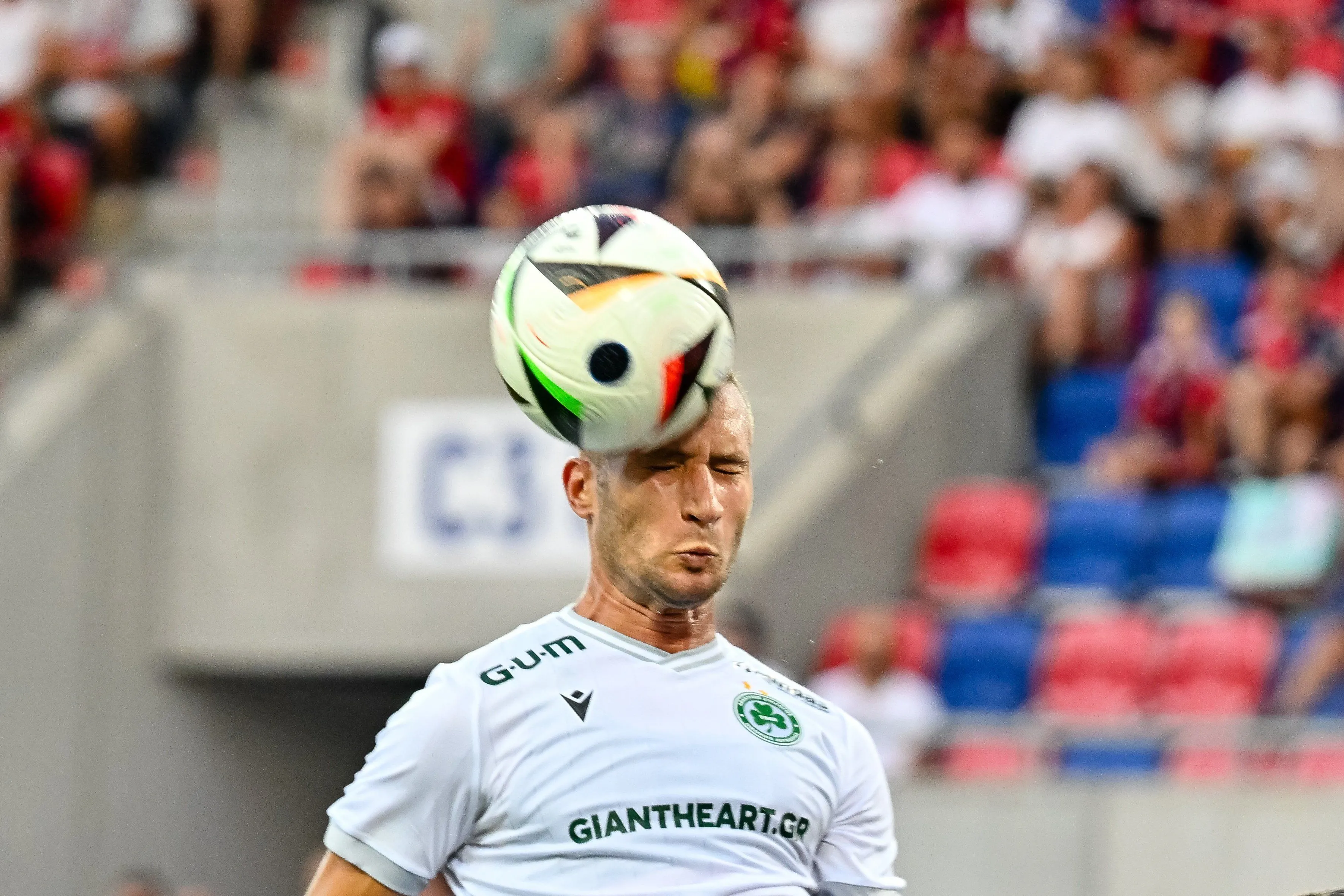 Veljko Simić Veljko Simić