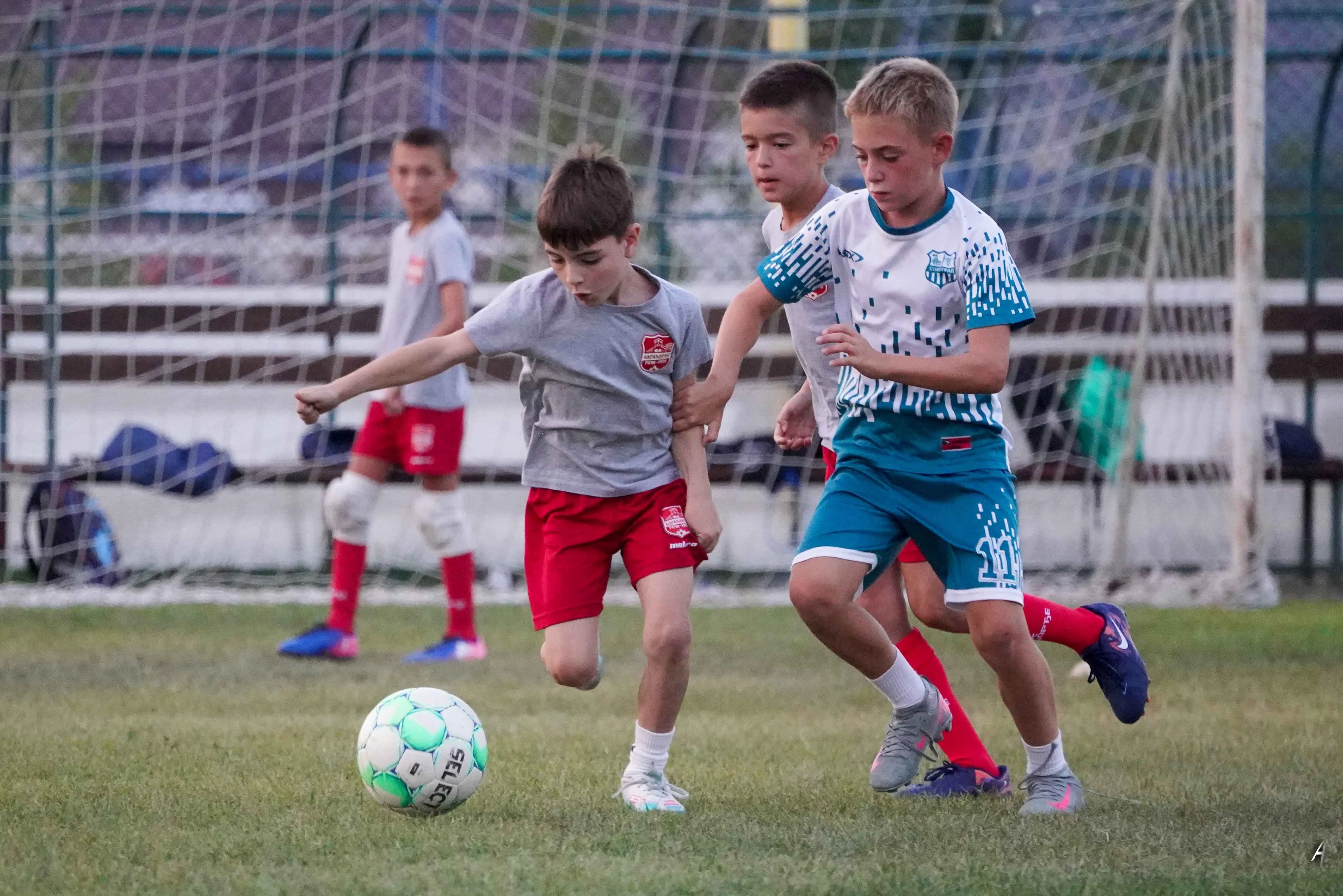 Mlađe kategorije FK Karađorđe