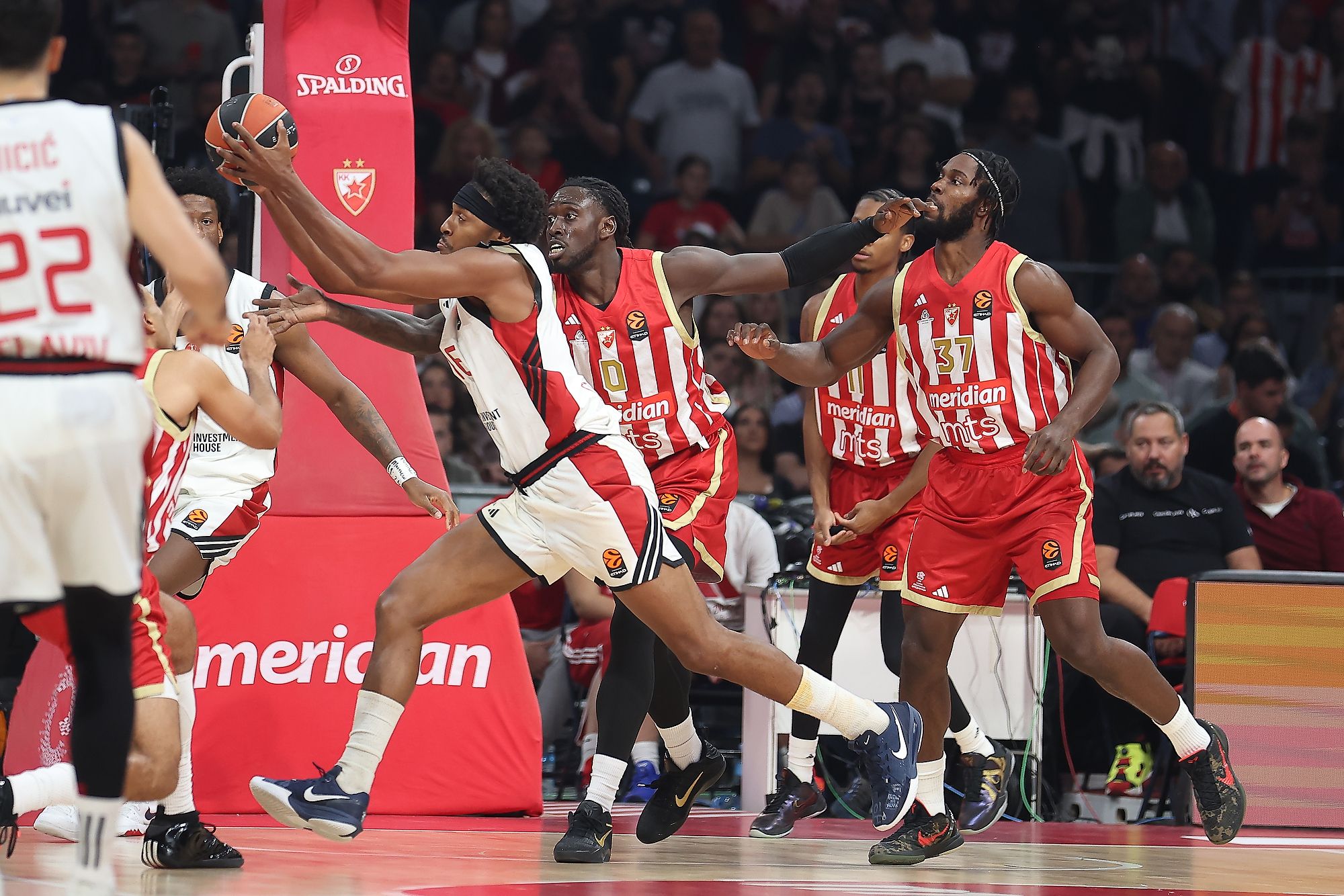 Crvena zvezda - Hapoel Tel Aviv