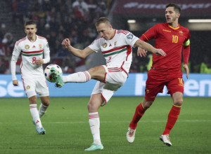 MAĐARSKA SRBIJI ČUVALA LEĐA Crna Gora pala posle preokreta