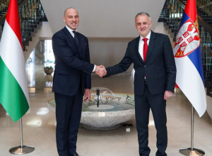 Održan bilateralni sastanak u oblasti sporta između Republike Srbije i Mađarske