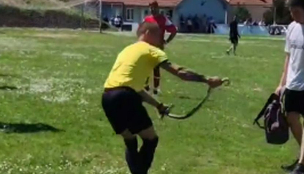 OVO IMA SAMO KOD NAS Zmija ušla na teren i prekinula utakmicu, a reakcija sudije će vas oduševiti (VIDEO)
