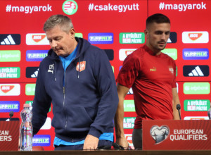 MORALO JE SVE DA OSTANE U NAŠOJ KUĆI Šta će biti sa Tadićem? Piksi će morati da preseče kao mačem...