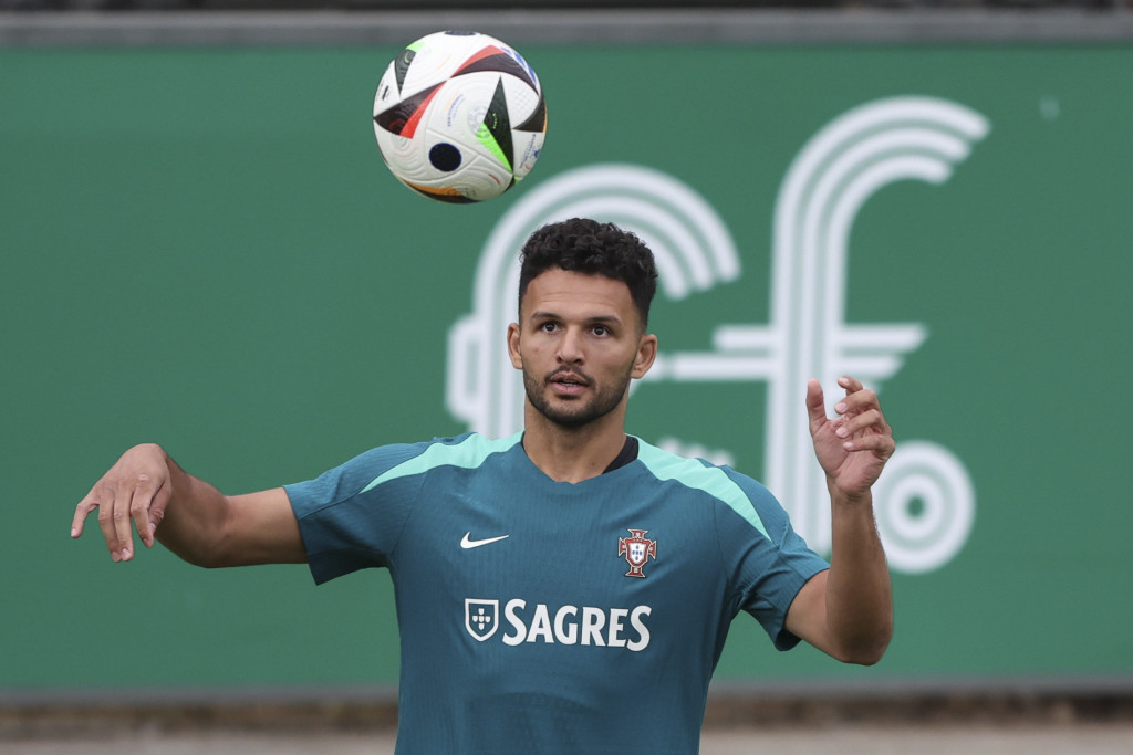 TRAGIKOMIČNO Redar hteo da zaštiti Ronalda od navijača, pa povredio Ramosa! (VIDEO)