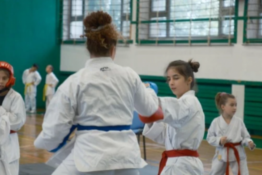 SPEKTAKL ZA LJUBITELJE BORILAČKIH VEŠTINA Evropski karate kup održan u Srbiji