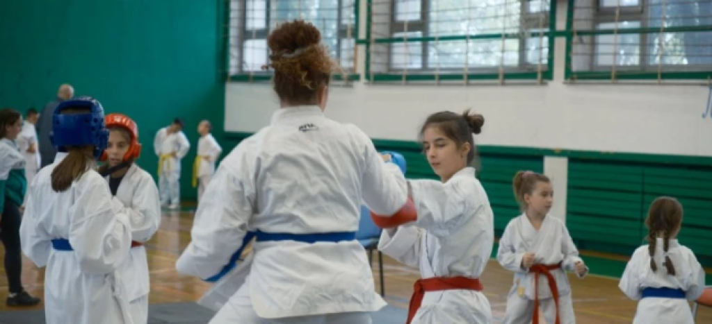 SPEKTAKL ZA LJUBITELJE BORILAČKIH VEŠTINA Evropski karate kup održan u Srbiji
