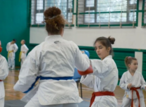 SPEKTAKL ZA LJUBITELJE BORILAČKIH VEŠTINA Evropski karate kup održan u Srbiji