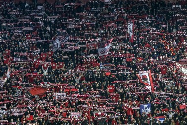 REŠENO GORUĆE PITANJE Zvezda dobila novog predsednika!