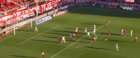 GOL KAKAV SE RETKO VIĐA Makazice Argentinca koje obilaze planetu (VIDEO)