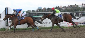 SPEKTAKL NA BEOGRADSKOM HIPODROMU U nedelju se trči galopski derbi