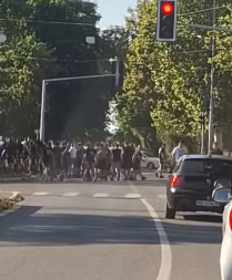 HAOS NA BANJICI "Grobari" napali "delije" pred utakmicu Zvezde? (VIDEO)