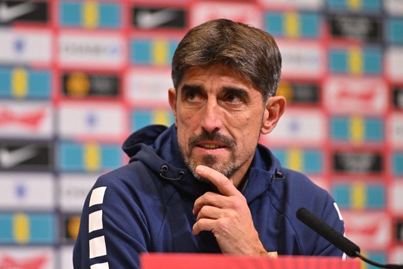 PAUNOVIĆ IMA PONUDU NA STOLU Poznato kakav ugovor je FSS spremio za novog selektora