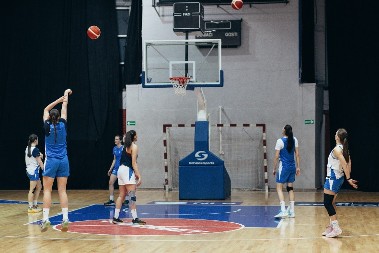 SELEKTOR SRBIJE PRED MEČ SA ISLANDOM "Očekujem maksimalno ozbiljan pristup, neće biti opuštanja"