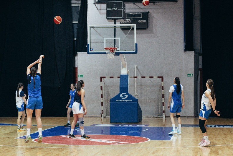 SELEKTOR SRBIJE PRED MEČ SA ISLANDOM "Očekujem maksimalno ozbiljan pristup, neće biti opuštanja"