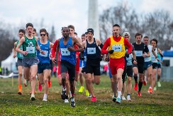 POČELA NOVA SEZONA BEOGRADSKOG MARATONA Ovo su pobednici Belog krosa