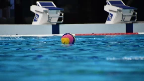 SADA JE ZVANIČNO Izabran novi predsednik Vaterpolo saveza Srbije