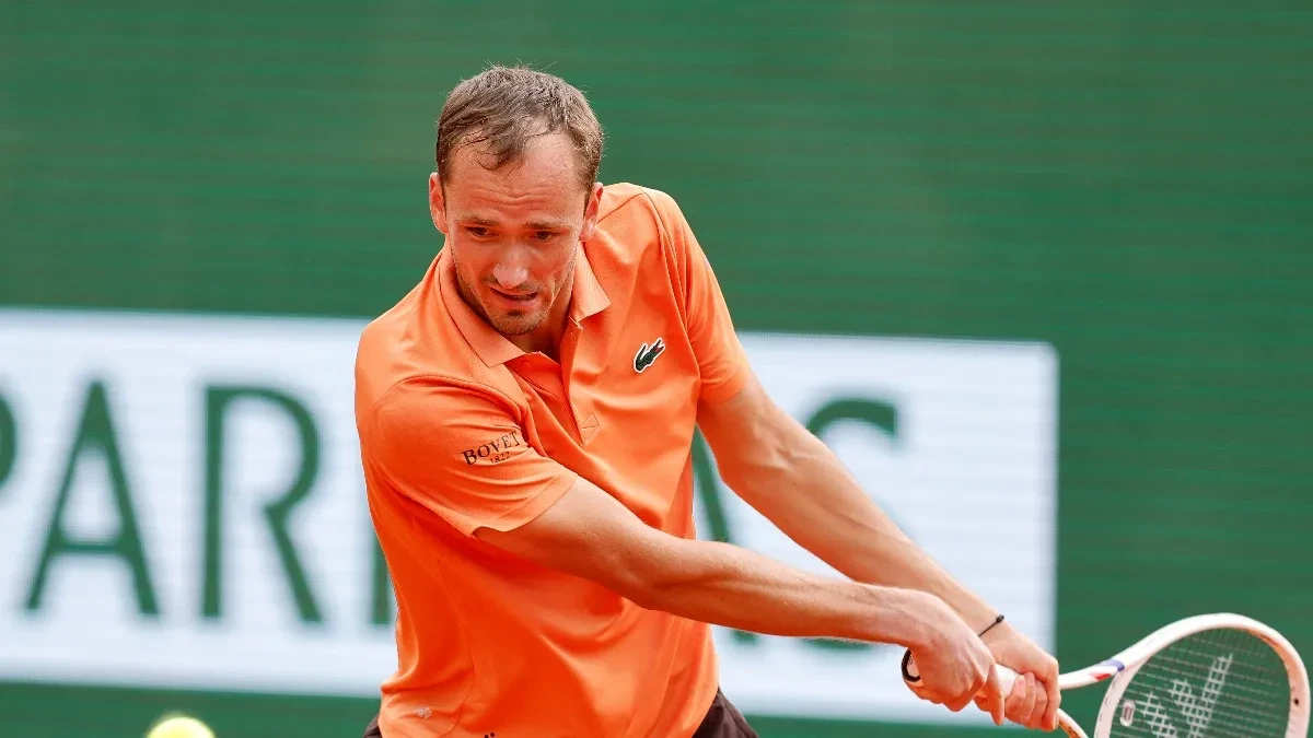 SRAMAN, SRAMNIJI, MEDVEDEV! (VIDEO)