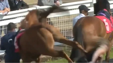Konj nokautirao devojku! Užasna scena na hipodromu, pukom srećom izbegla najgore (VIDEO)