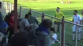 Skandal na meču Crvene zvezde: Navijač udario šamar igraču (VIDEO)