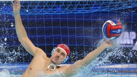 Vaterpolo savez Srbije više ne postoji 