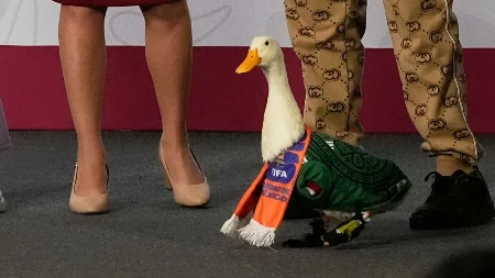 Najlepša mundijalska priča: Merlin beli sreću deli