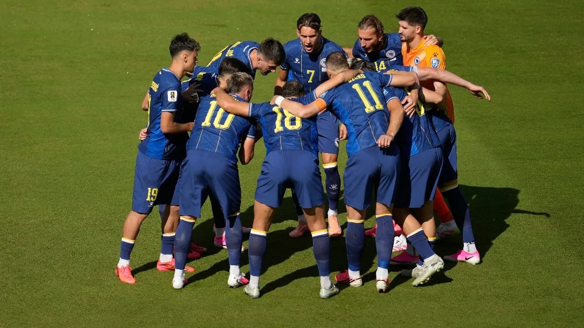 Poznato koliko je novca zaradila reprezentacija Bosne i Hercegovine posle ispadanja sa Mundijala