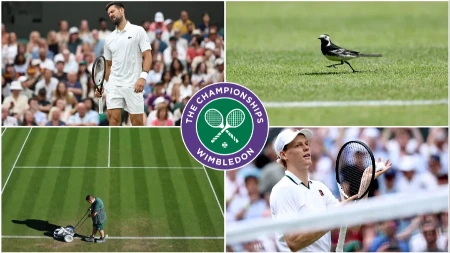 Vimbldon - sedmi dan: Počinju bitke za čevrtfinale, Novak na Rusa, Siner ima zicer, igra i Srpkinja