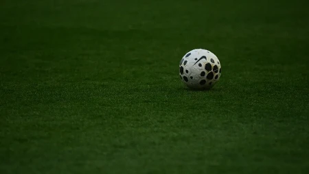 Preminuo sportski novinar Miloje Radičević Žabac
