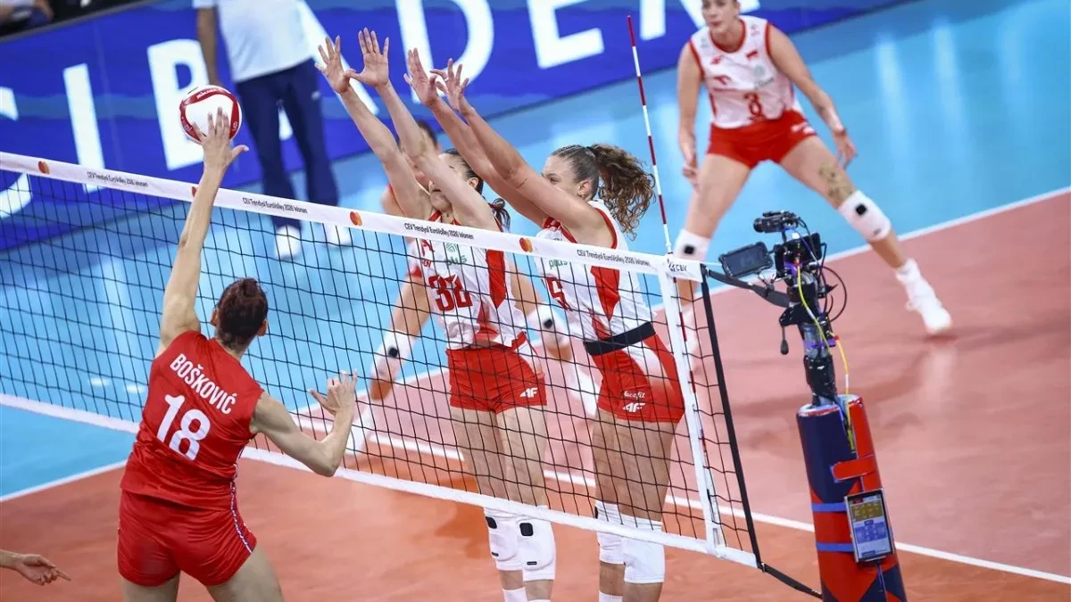 Srbija - Poljska: Selektor Terzić hitno napustio parket! Zabrinjavajuća scena u Istanbulu!